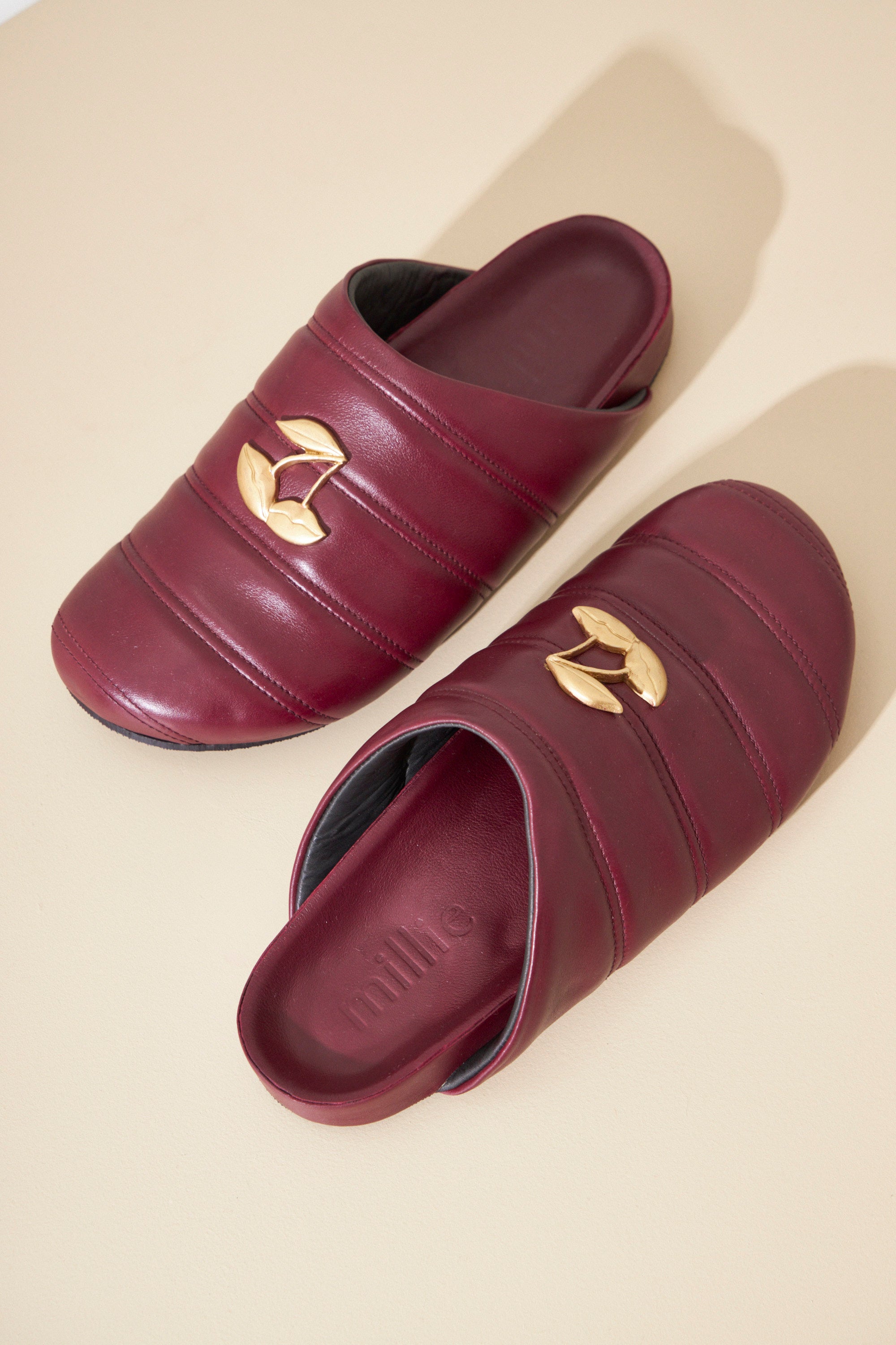#color_bordo